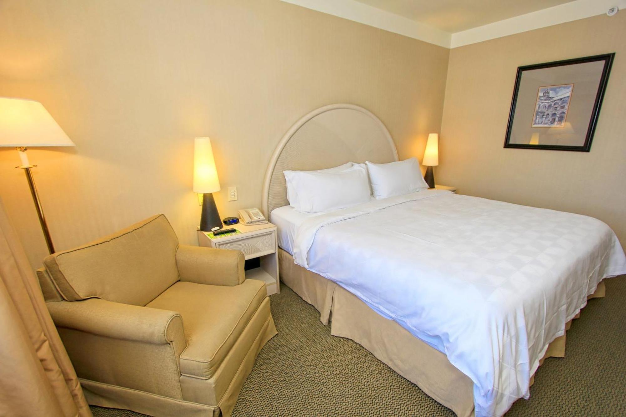 Holiday Inn Leon-Convention Center By Ihg Zewnętrze zdjęcie