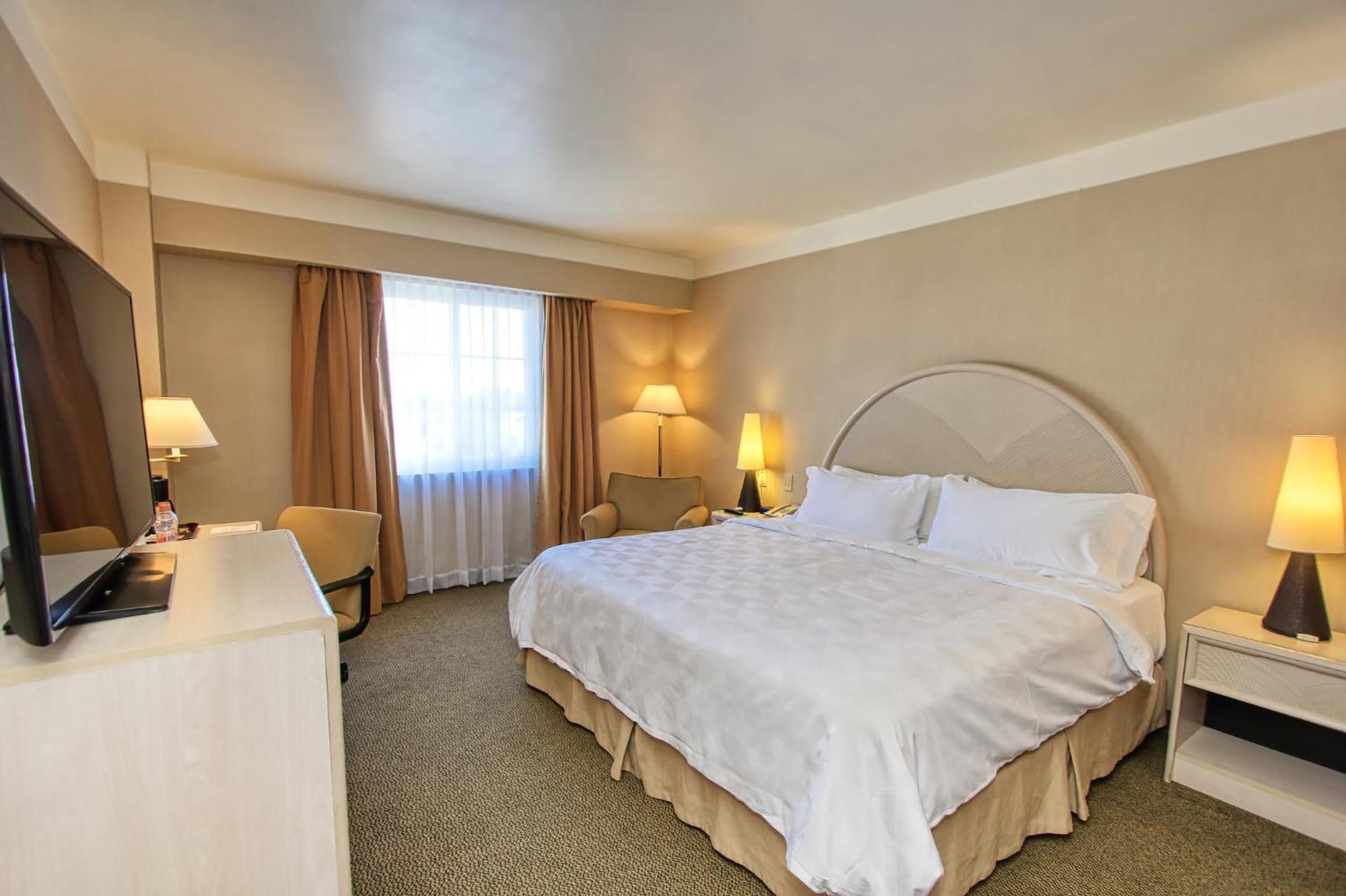 Holiday Inn Leon-Convention Center By Ihg Zewnętrze zdjęcie